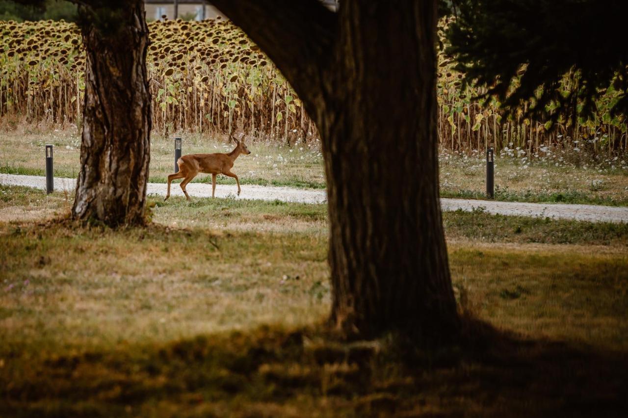 מלון לקטור Domaine De Boulouch מראה חיצוני תמונה