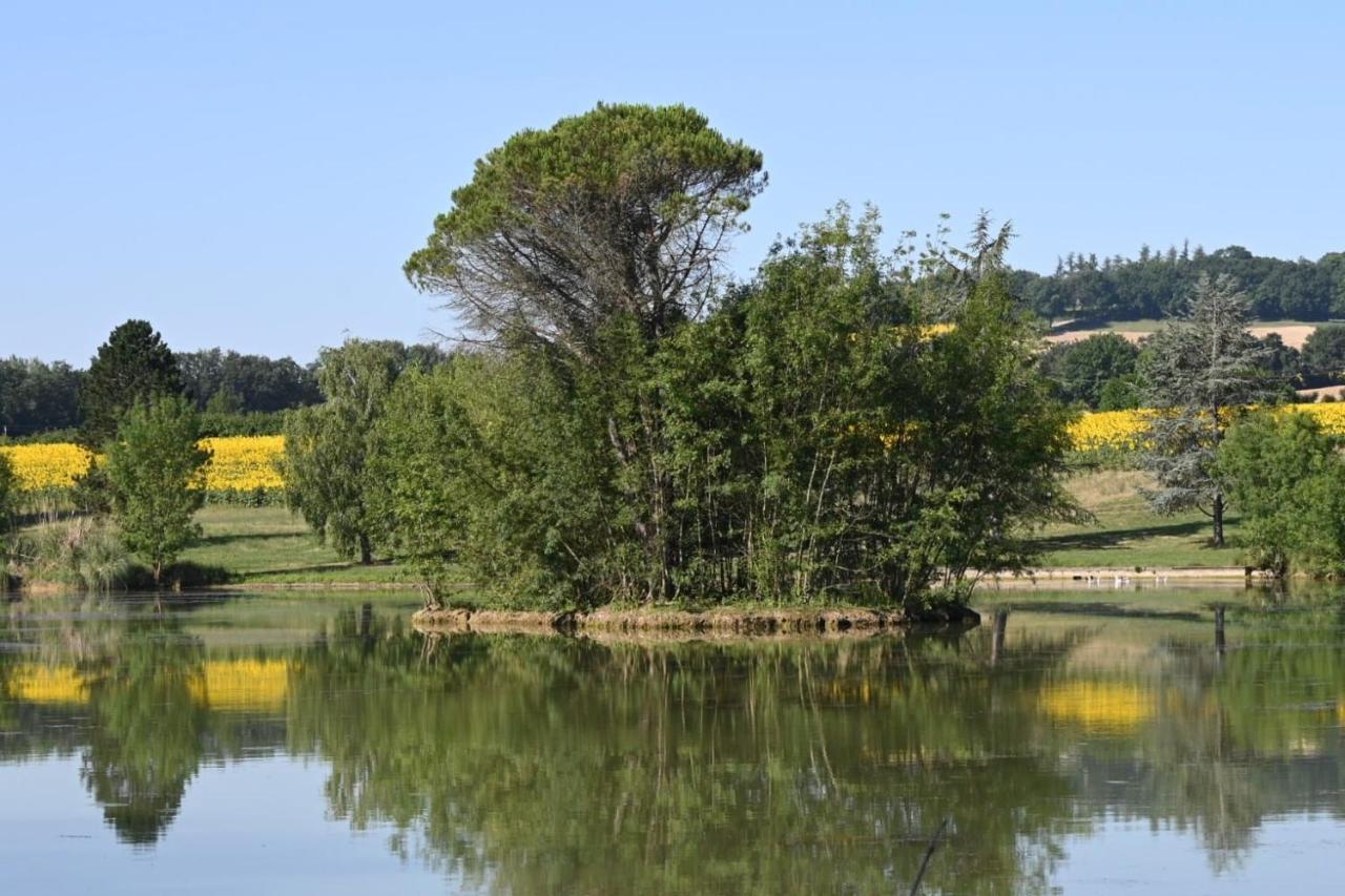 מלון לקטור Domaine De Boulouch מראה חיצוני תמונה